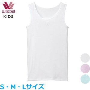 R[ WacoalLbY Ci[ m[X[u(STCY MTCY LTCY)tFA[eBA [1_܂  w CKX104 yPz