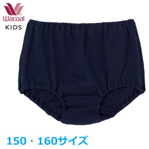 R[ Wacoal WjAV[c (150TCY 160TCY) tFA[eBA [3_܂  w COX155 yPz