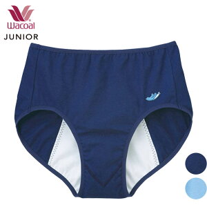 15%OFF R[ Wacoal WjATj^[V[c pV[c iCg^Cv ̎q tFA[eBA [3_܂  w CYX175 yFz