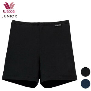 R[ Wacoal WjAI[o[pc tFA[eBA I[o[V[c [3_܂  w CZQ433 yPz