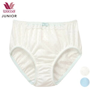 R[ Wacoal WjAV[c tFA[eBA [3_܂  w CZQ641 yPz