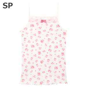 R[ Wacoal L~\[ (120TCY 130TCY 140TCY) gbv t[ 炩100 [2_܂  w CKX178 yEVzyPz