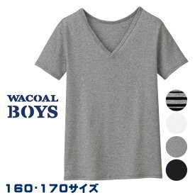 ワコール Wacoal キッズ BOYS(男児) (160・170サイズ) 半袖シャツ 男児トップ メール便1点まで 入園準備 入学準備 CHV306 【F】