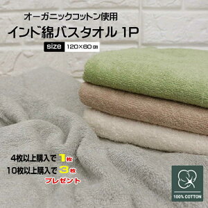 y4ȏ1A10ȏ3v[gIzI[KjbNChȃoX^I 1P 120cm×60cm Cɋ ʋC ^I oX^I 100 I[KjbN Rbg ChRbg 