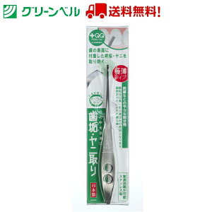 ɔECj QQ-D81 Ύ j L΍  I[PA O[x Green Bell q  a@   `OX