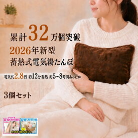 2026年型最新 湯たんぽ 3個セット 【1個あたり1,900円】【ヘアドライタオルプレゼント】 送料無料 WJ-8190 WJ-8160 PSE認証済 充電 電気 ゆたんぽ カバー付き 蓄熱 省エネ コードレス 足元 防寒 暖房 節電 省エネ エコ あったかグッズ　30日保証