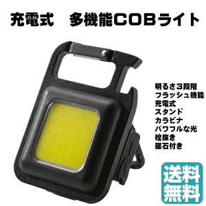 i1360~j܂Ƃߔyň풆Iz[d @\COBCg 35868 h Cg COB LED  g ~j Lv AEghA ނ EH[LO  }Olbg L[z_[