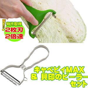 Xs[hzyTVŏЉESNSőlCzy ZbgizLxsBMAX&s[[LDH3000 ZNg100 Ls[[ s[[L T^s[[ ނ XeX XCT[ ؂ DH3000 L