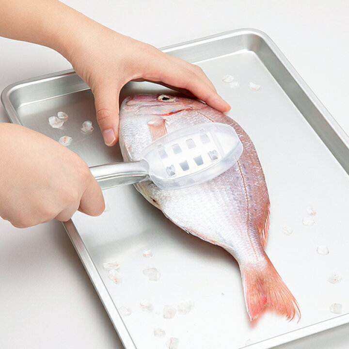楽天市場 うろこ取り Dh3016 Select100 貝印 ウロコ取り 鱗取り Dh 3016 うろこ ウロコ 鱗 魚 カバー付 ステンレス 食洗機対応 食洗機 料理 キッチン Rankup 楽天市場 うろこ取り Dh3016 Select100 貝印 ウロコ取り 鱗取り Dh 3016 うろこ ウロコ 鱗 魚 カバー付 ステンレス 食洗機対応 食洗機 料理 キッチン Rankup