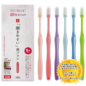 ňlɒy|CgővX7{z 40ォ̖₷uV זсi炩߁j6{Zbg LT-59 yzIǐՔԍt̃lR|XŔz CtW cӏdg 