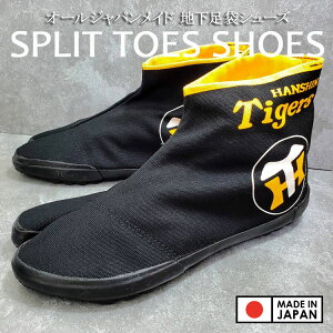 XvbggD nCJbg n V[Y 2024N _^CK[X Fi I[WpCh n܃V[Y RY 8z Rfj  ^CK[XES FObY