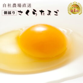 数量限定！さくらたまご（破損補償10個含む）【L40個・M45個・MS54個】九州熊本産　【たまご 卵 玉子 卵焼き 生卵 たまごかけごはん 送料無料 サイズが選べる 】