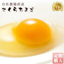 【送料無料】【定期購入】【送料無料 サイズが選べる】朝採り さくらたまご【L40個・M45個・MS54個】(破損補償10個含む)【美味しい 卵 九州 熊本県産 ...
