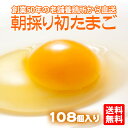 【たまご 卵 玉子 】 朝採り 初 たまご 108個 (破損補償10個含む)【エントリーでポイント10倍 ひなたまこっこ 美味しい 卵焼き たまごかけごはん 卵...