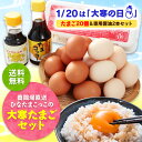 【予約受付中 たまご 卵 玉子 】 大寒たまご20個&卵かけごはん専用醤油2本セット【エントリーでポイント10倍 大寒たまご 縁起物 ひなたまこっこ 美味しい ...