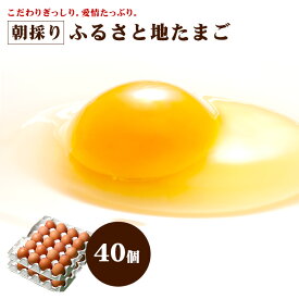 【通年クール便】 ふるさと 地 たまご 40個 （破損補償10個含む）【九州 熊本県産 新鮮 安全 農場直送 卵 生卵】