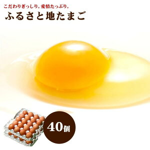 yʔNN[ցz ӂ邳 n ܂ 40 ij⏞10܂ށjyB F{Y VN S _꒼  z
