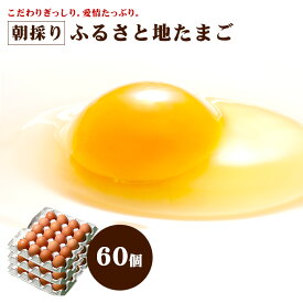 【通年クール便】 ふるさと 地 たまご 60個（破損補償10個含む） 【九州 熊本県産 新鮮 安全 農場直送 卵 生卵】