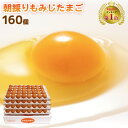 朝採り もみじ たまご 160個（破損補償10個含む） 【 卵 九州 熊本県産 新鮮】【送料無料　九州熊本産　たまご　卵　玉子　生卵 卵焼き　たまごかけごはん　...