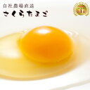 【常温発送】桜たまごMサイズ90個入（破損補償10個含む）