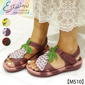 y󒍐Ypy[WzEstacion`GX^VI`EԂǂ`[t{vT_ycp-ms10z