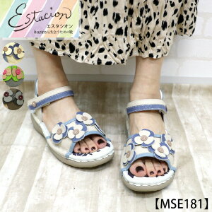 y󒍐Ypy[WzEstacion`GX^VI`Et[`[t{vT_ycp-mse181z