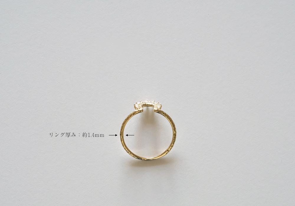 楽天市場】K18 ホースシュー ダイヤモンド リング 馬蹄 蹄 指輪 ring 