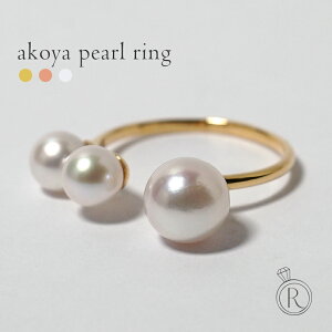 K18 AR p[ O fB[X AR^ w p 18K 18   p[eB ARp[O S[h 6 a v[g Mtg AM[Ή RAPA p 