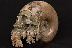 y_zAiCg q[}XJilԓWj J[rOij 2595g I }_KXJYyz