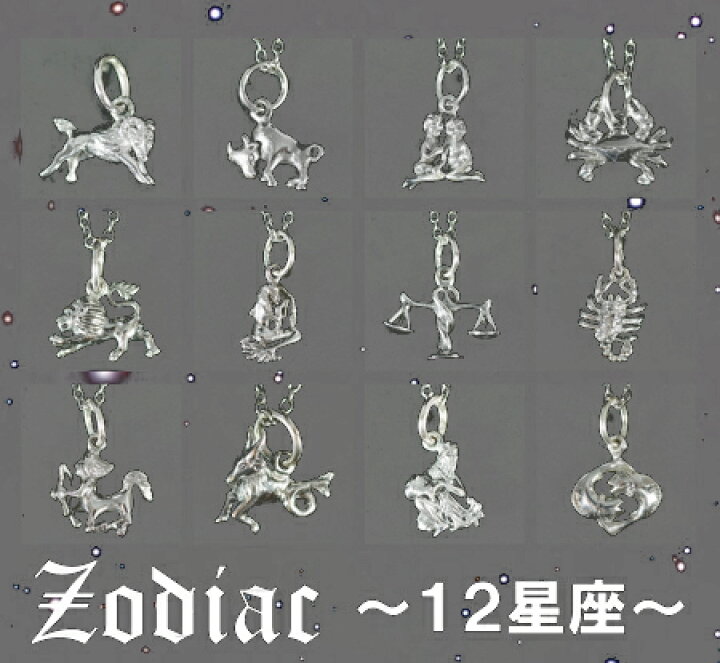 楽天市場】12星座 スターリングシルバー チャーム ペンダント 黄道十 