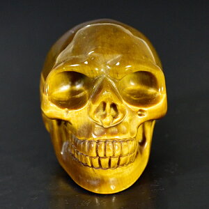 y_zq[} XJi[j i^CK[ACiՖڐ΁j iJ[rOj dF87g AAAO[h VR p[Xg[