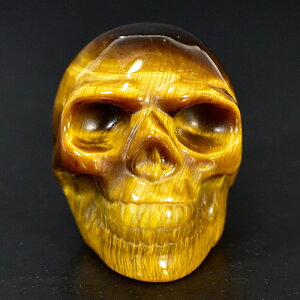 y_zq[} XJi[j i^CK[ACiՖڐ΁j iJ[rOj dF87g AAAO[h VR p[Xg[