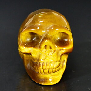 y_zq[} XJi[j i^CK[ACiՖڐ΁j iJ[rOj dF89g AAAO[h VR p[Xg[