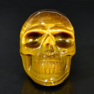 y_zq[} XJi[j i^CK[ACiՖڐ΁j iJ[rOj dF92g AAAO[h VR p[Xg[