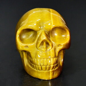 y_zq[} XJi[j i^CK[ACiՖڐ΁j iJ[rOj dF78g AAAO[h VR p[Xg[