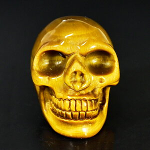 y_zq[} XJi[j i^CK[ACiՖڐ΁j iJ[rOj dF74g AAAO[h VR p[Xg[