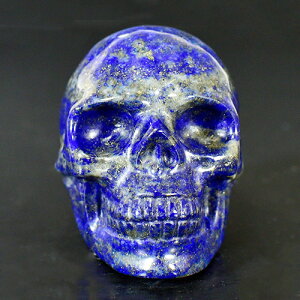 �y��_���z�q���[�}�� �X�J���i�[���j �V�R���s�X���Y�� �����i�J�[�r���O�j 108g �V�R�� �p���[�X�g�[����