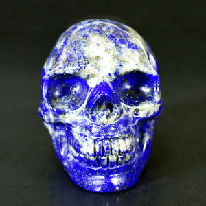 �y��_���z�q���[�}�� �X�J���i�[���j �V�R���s�X���Y�� �����i�J�[�r���O�j 107g �V�R�� �p���[�X�g�[����