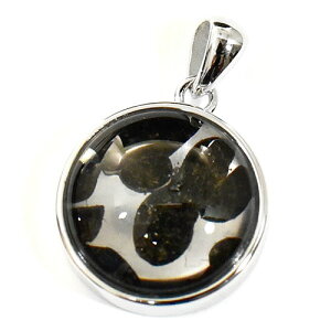 【一点物】パラサイト隕石(石鉄隕石) スターリングシルバー ペンダントトップ 幅:16mm 【送料無料】