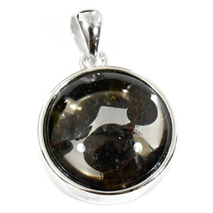 y_zpTCg覐(ΓS覐) X^[OVo[ y_ggbv F16mm yz