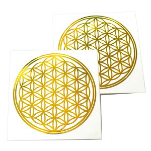 t[IuCtỉԁj F ^ij XebJ[ aF4cm 2Zbg 􉽊w͗ly[֑Ήz