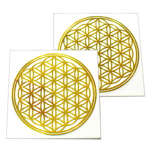 t[IuCtỉԁj F ^ij XebJ[ aF5cm 2Zbg 􉽊w͗ly[֑Ήz