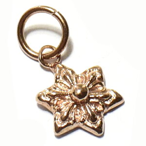 o Vo[p[c `͗l Z䊐i_rf̐j 18KsNS[hi[YS[hj FCH `[bChlVA Vo[925