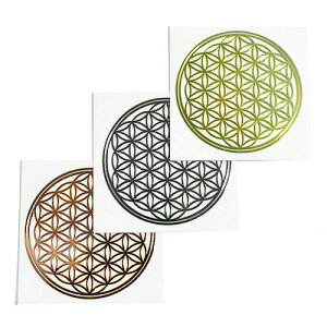 t[IuCtỉԁj FiS[hjAFiVo[jAF ^ij XebJ[ aF3cm 3Zbg  Rbp[ 􉽊w͗ly[֑Ήz