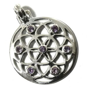 yPETER STONEzt[IuCtỉԁj AWXg Vo[ y_ggbv TnX[ Kyz