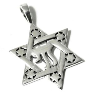 yPETER STONEzZ䊐i_rf̐j `C Chai X^[OVo[ y_ggbv CXG \̈ _ 아y[֑Ήz