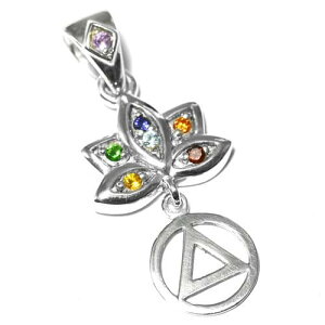 yPETER STONEz[^Xi@ԁj Zu`N L[rbNWRjA X^[OVo[ y_ggbvyz