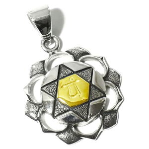 yPETER STONEz4`N Ain^E`NiANAHATA CHAKRAj Vo[S[hv[g y_ggbv Kyz