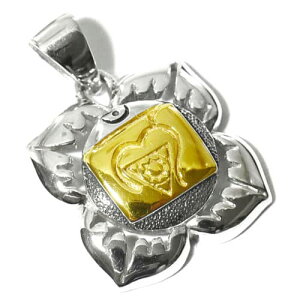 yPETER STONEz 1`N [_E`NiMOOLADHARA CHAKRAj Vo[S[hv[g y_ggbv Kyz