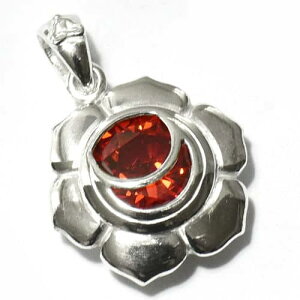 2`N XfBV^[iE`NiSvadhisthana CHAKRAj X^[OVo[ CZWRjA y_ggbvy[֑Ήz